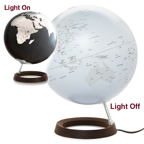 Full Circle Reflection World Globe